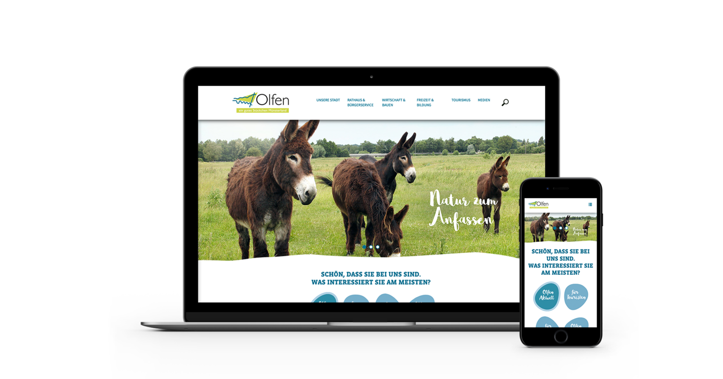 B2B Website Design Agentur Münster
